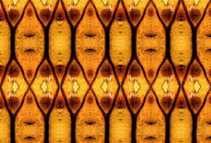 Abeilles